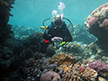 Hurghada 02-2014